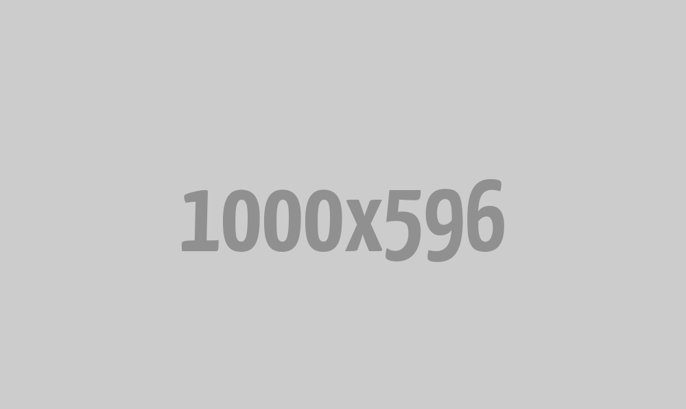 2151231381